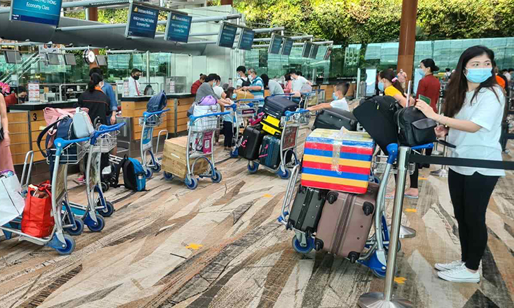 Hơn 530 người Việt từ Singapore, Đài Loan về nước